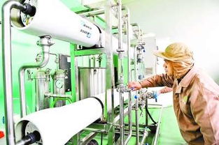 科技驅(qū)動循環(huán)經(jīng)濟(jì) 香港金綠源生物科技的創(chuàng)新之路